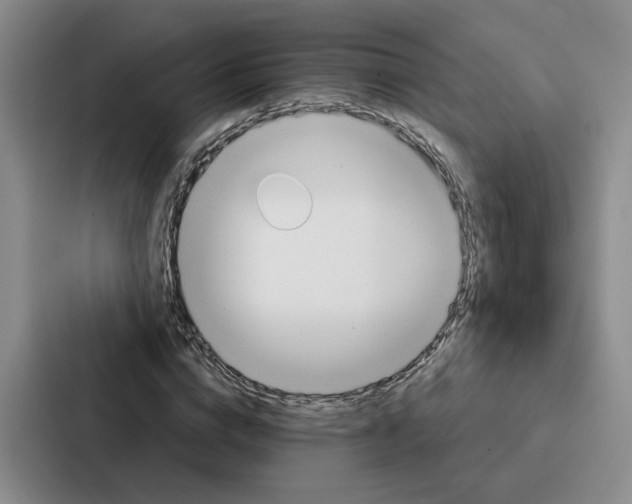 X0000086900824200705141641