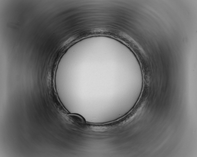 X0000086900825200705141641