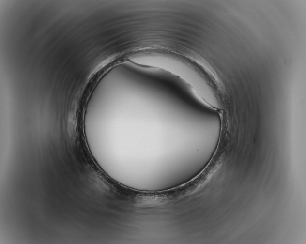 X0000086900826200705141641