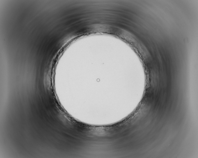 X0000086900828200705141641