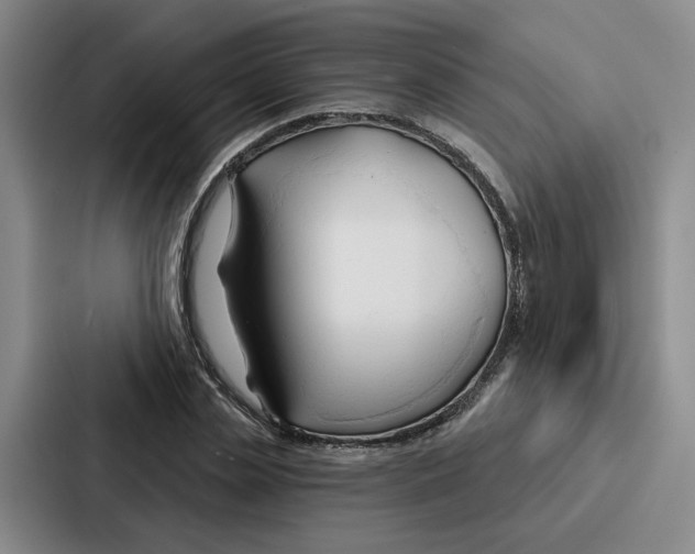 X0000086900829200705141641