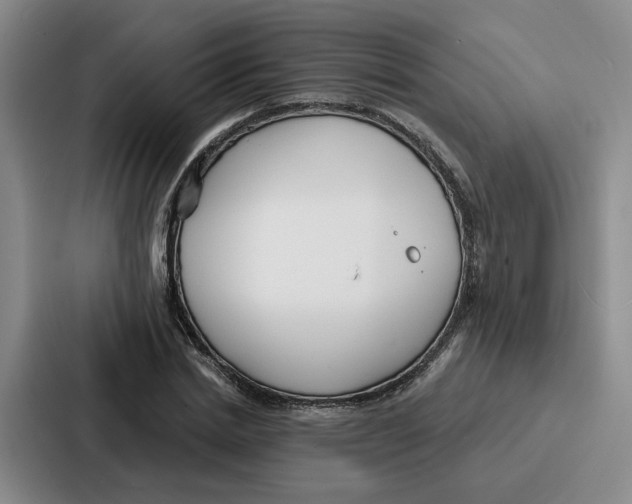 X0000086900830200705141641