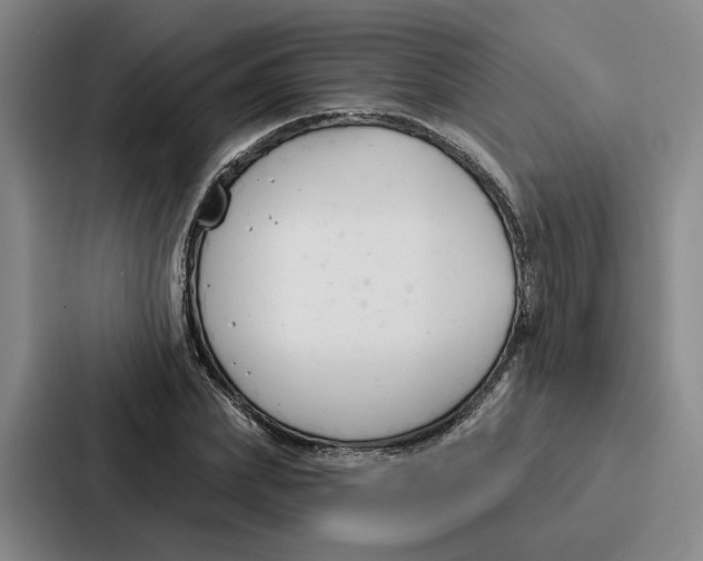 X0000086900831200705141641