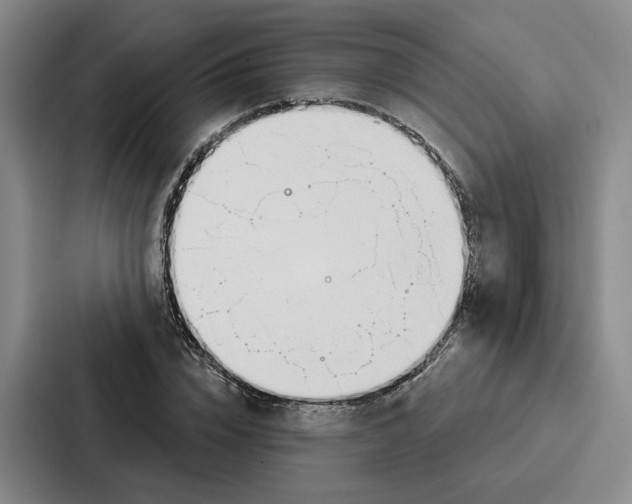 X0000086900832200705141641