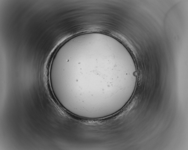 X0000086900835200705141641