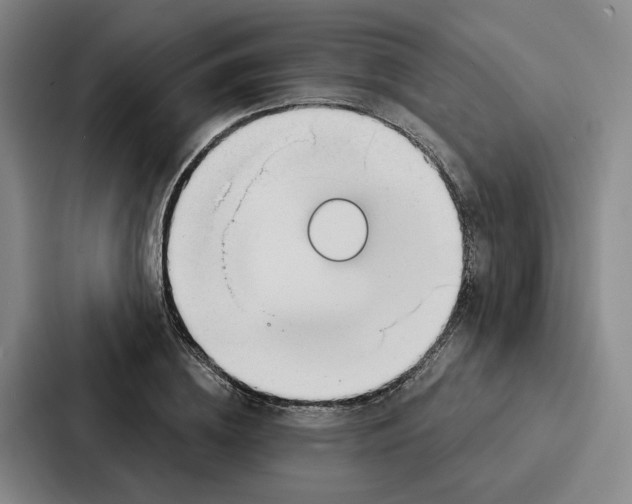 X0000086900836200705141641