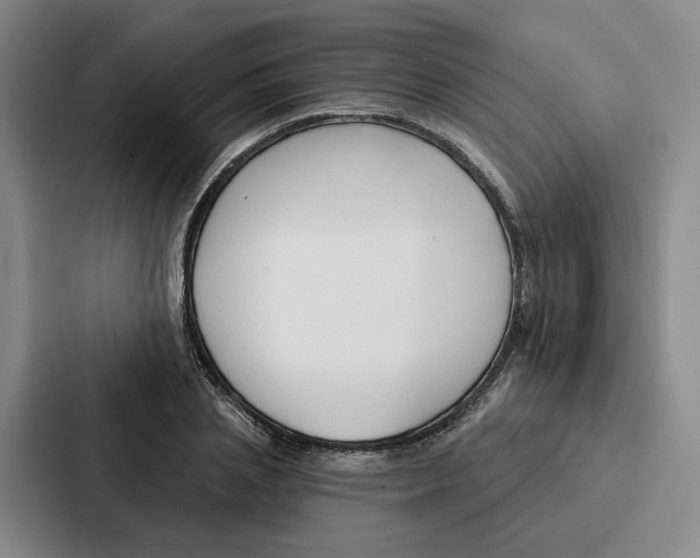 X0000086900837200705141641