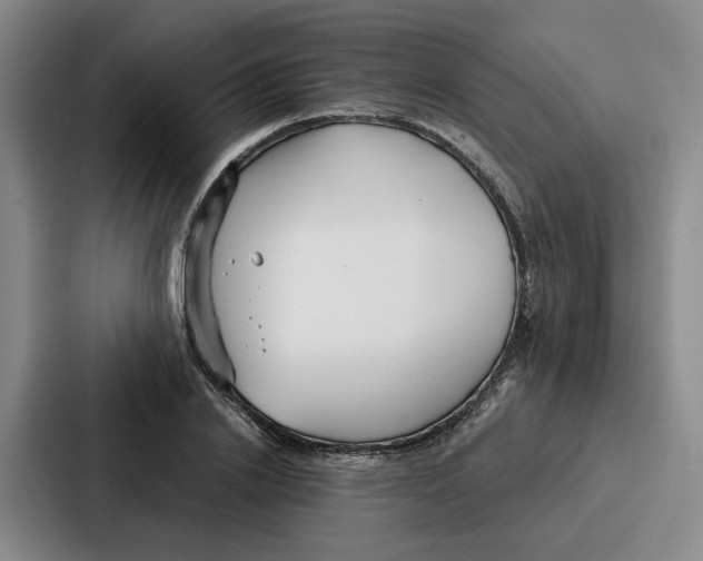 X0000086900838200705141641