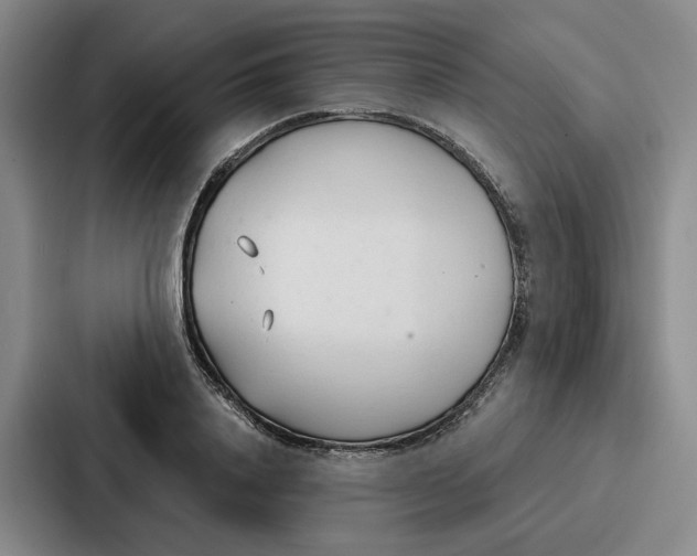 X0000086900840200705141641