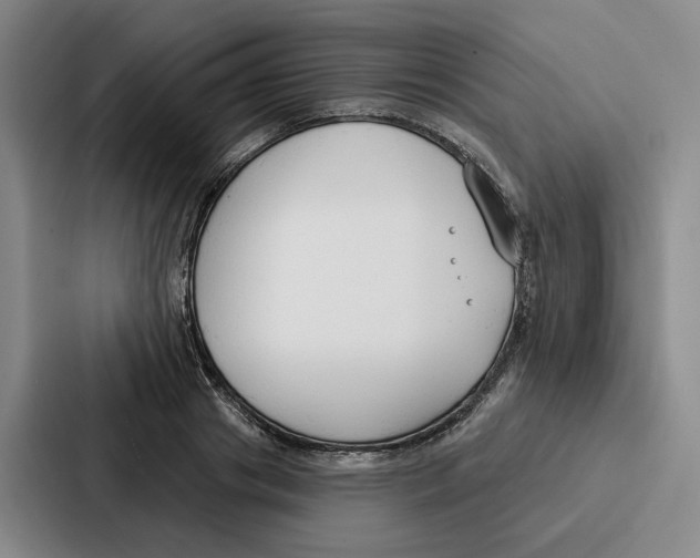 X0000086900841200705141641