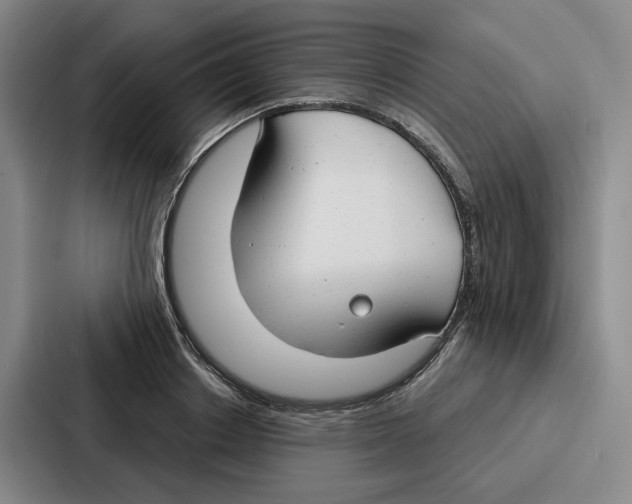 X0000086900842200705141641