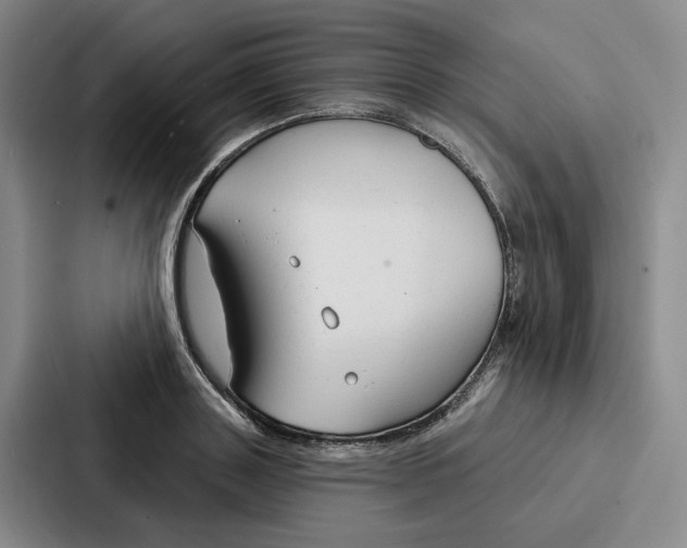 X0000086900843200705141641