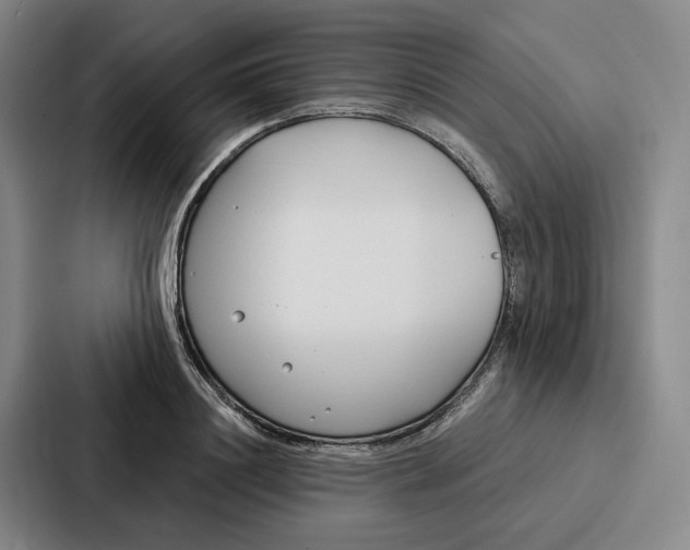 X0000086900844200705141641