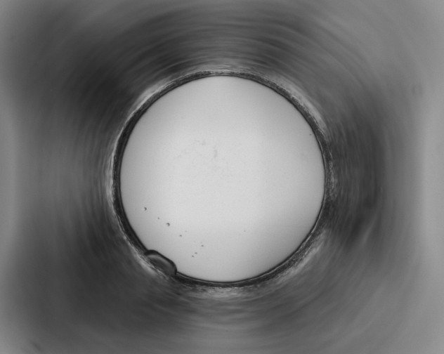 X0000086900845200705141641