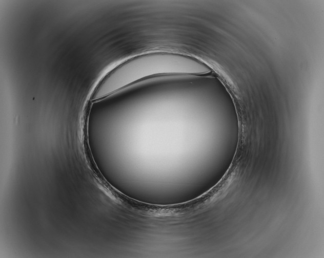 X0000086900846200705141641