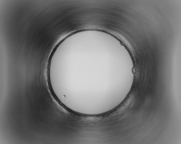 X0000086900847200705141641