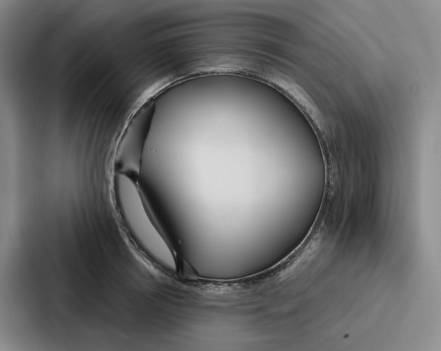 X0000086900850200705141641