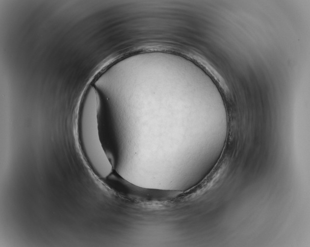 X0000086900853200705141641