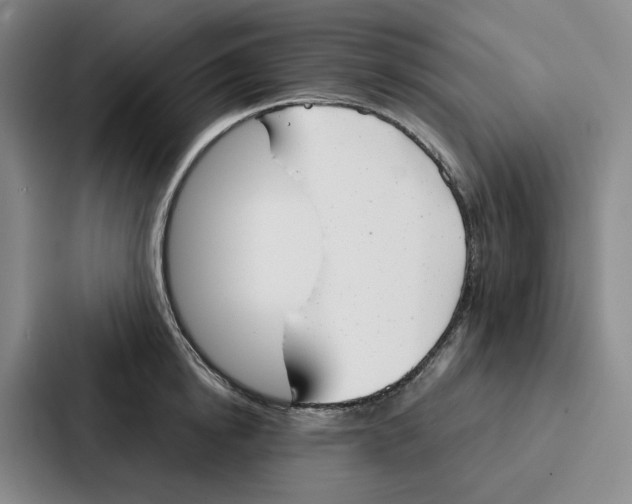 X0000086900854200705141641