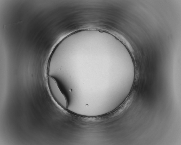 X0000086900855200705141641