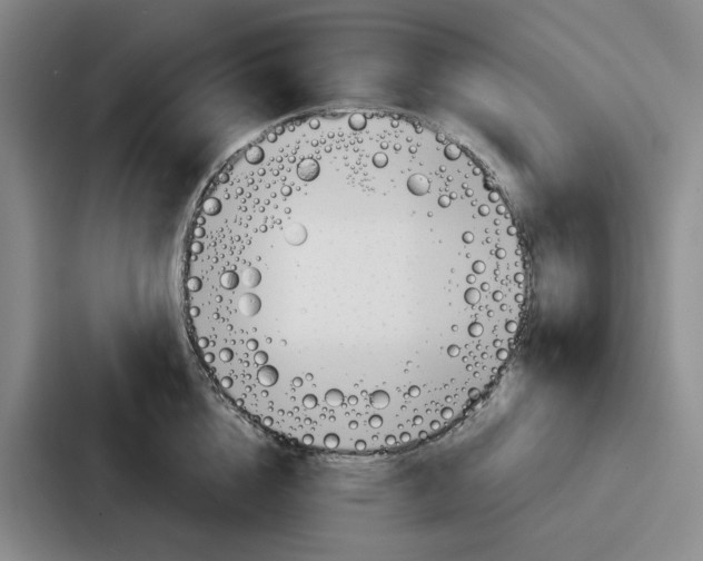 X0000086900856200705141641