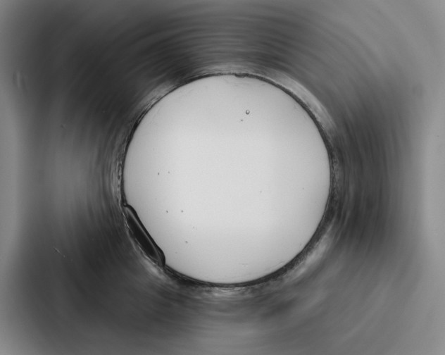 X0000086900857200705141641