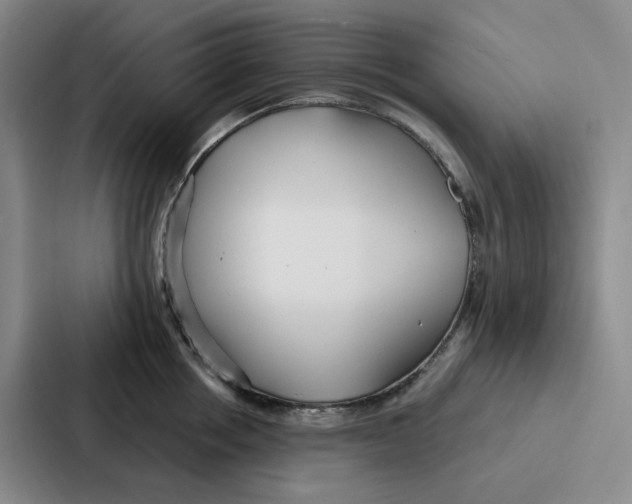 X0000086900858200705141641