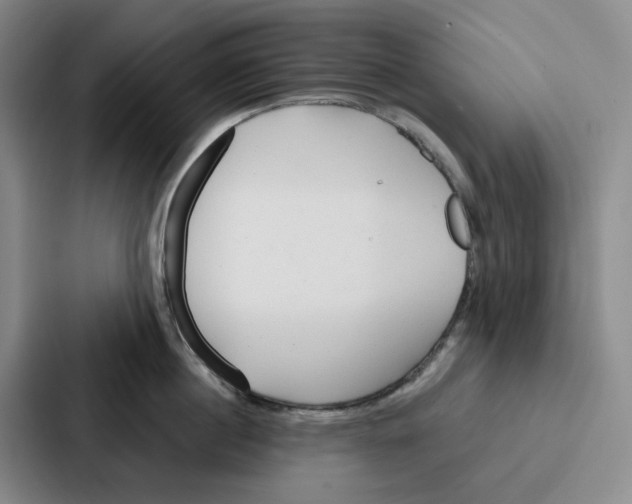 X0000086900860200705141641