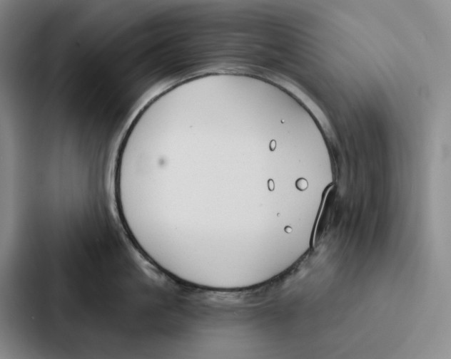 X0000086900861200705141641