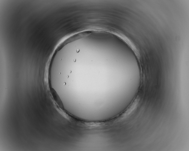 X0000086900862200705141641