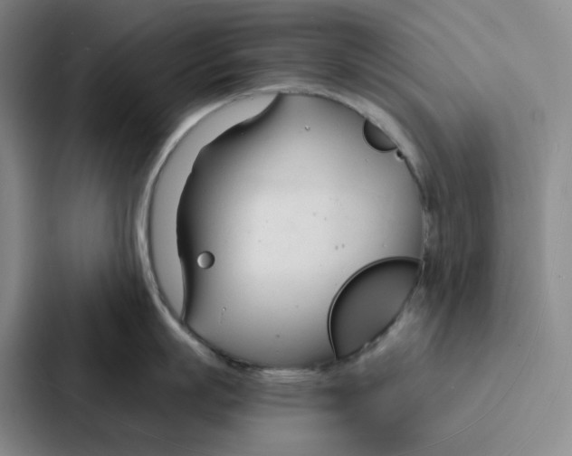 X0000086900863200705141641