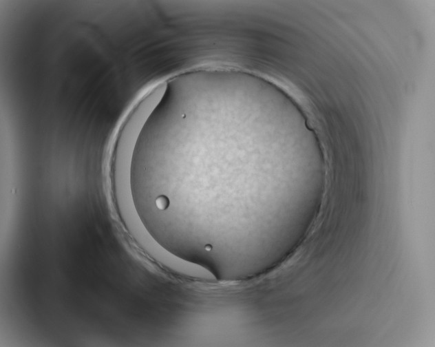 X0000086900864200705141641