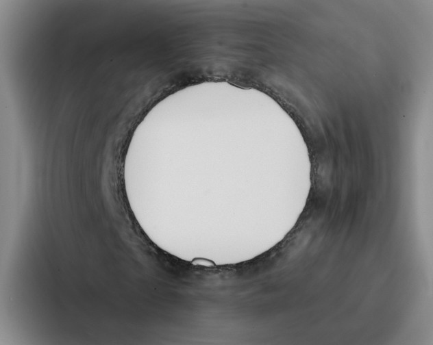 X0000086900865200705141640