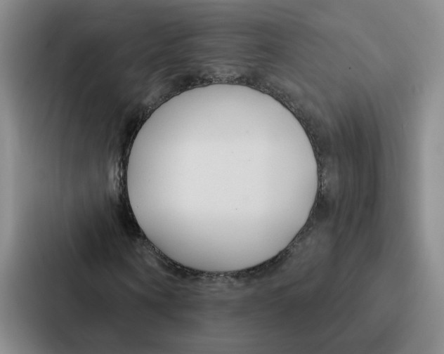 X0000086900866200705141640