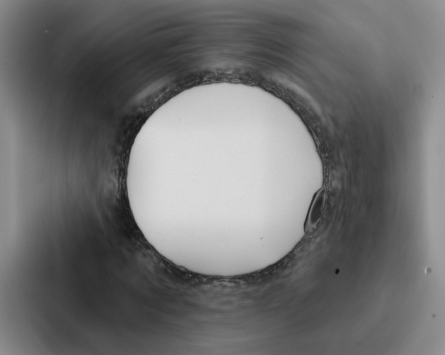 X0000086900869200705141640