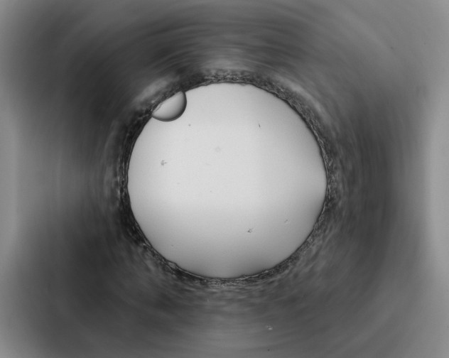 X0000086900870200705141640