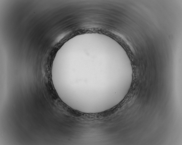 X0000086900871200705141640