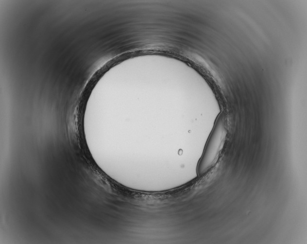 X0000086900875200705141640