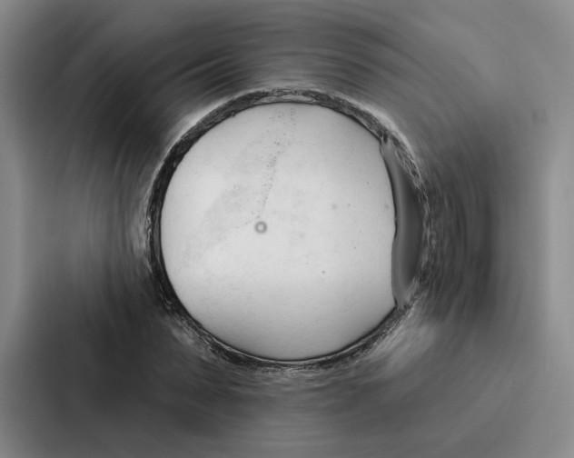 X0000086900879200705141640