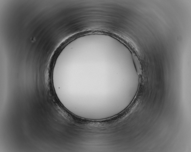 X0000086900880200705141640