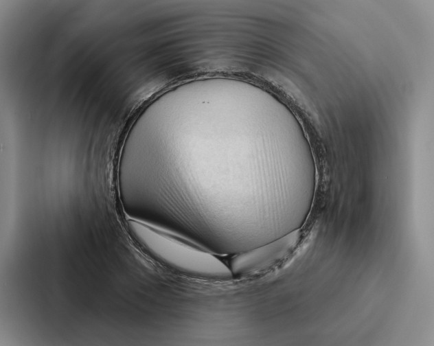 X0000086900881200705141640