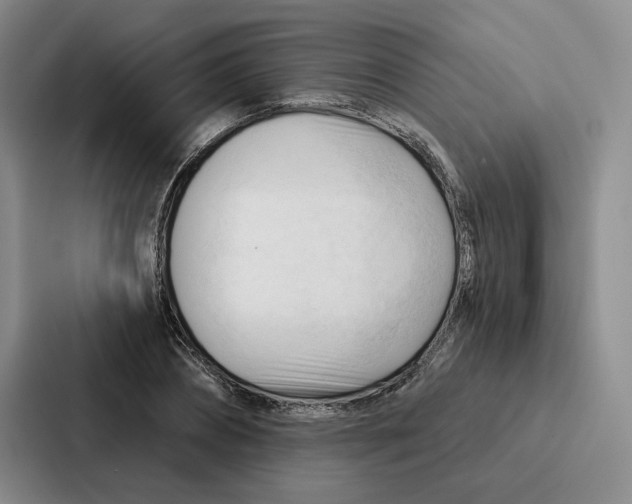 X0000086900882200705141640