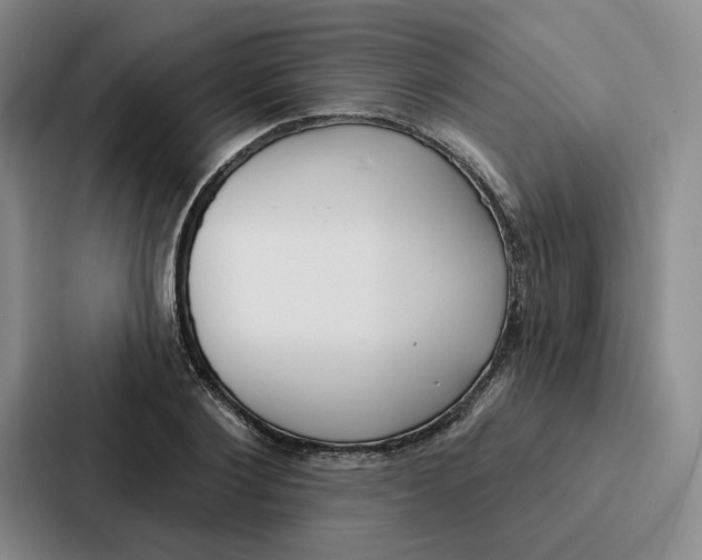 X0000086900884200705141640