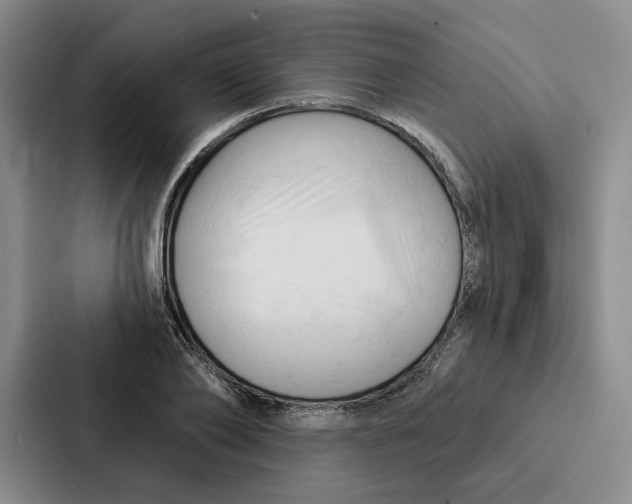 X0000086900886200705141640