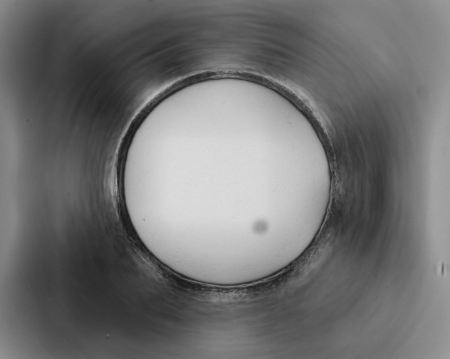 X0000086900887200705141640