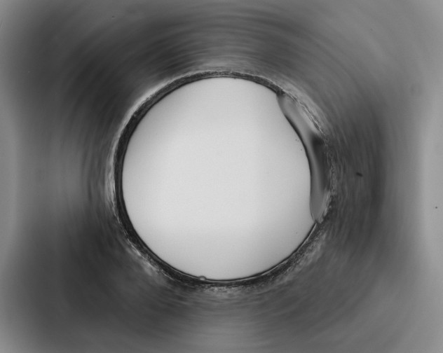 X0000086900888200705141640