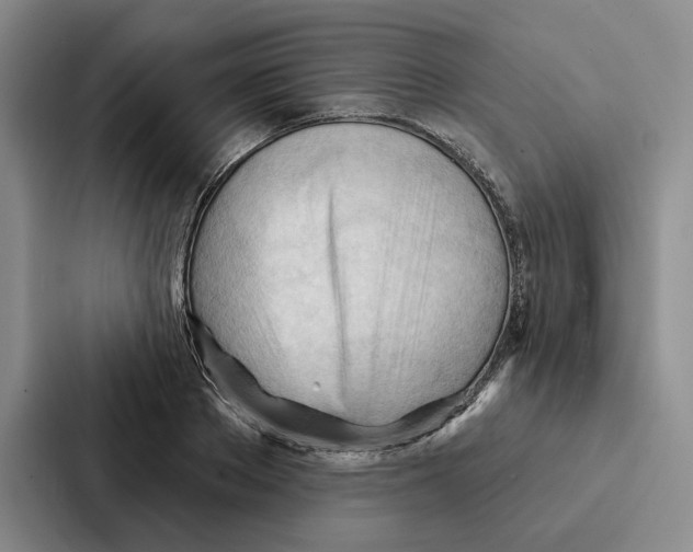 X0000086900889200705141640