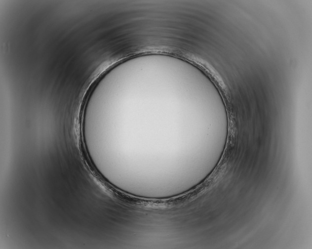 X0000086900890200705141640