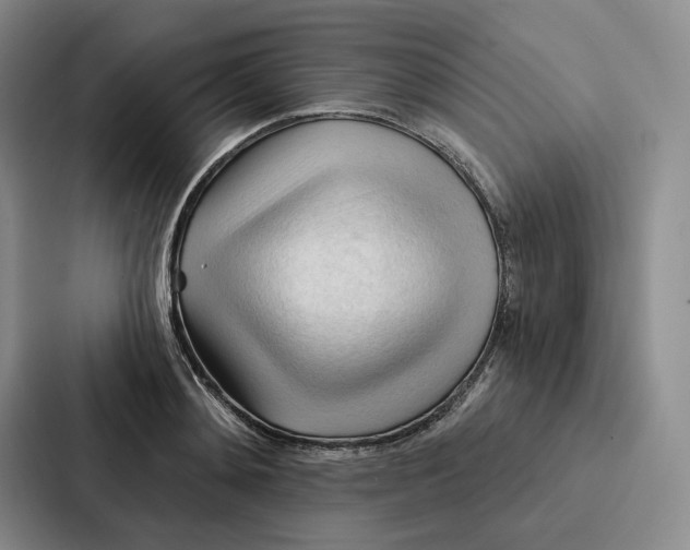 X0000086900892200705141640