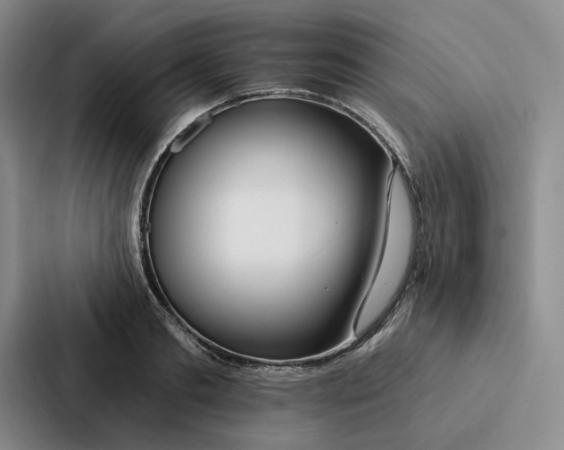 X0000086900893200705141640